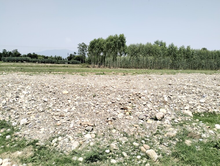 undefined, sahaspur  5000 Sq.Ft. Plot In Sahaspur Dehradun 8761861