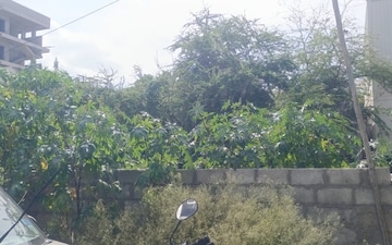 Plot For Sale in Gadenahalli
