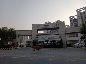 1 BHK Apartment – Exterior View View at R Tech Capital Greens, Uit Sector 9 - for Rent