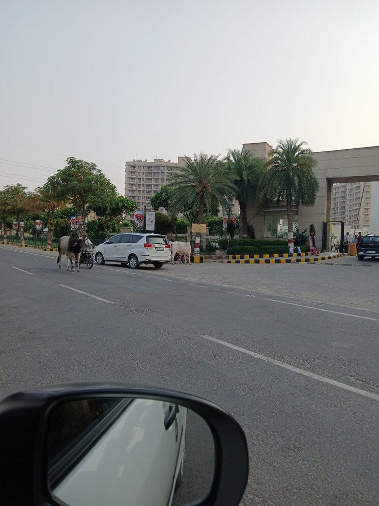  Parking, santhalka 3 Bedroom 1396 Sq.Ft. Apartment In Santhalka Bhiwadi 8762048