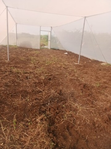 Plot Area in  Plot at Kanchikacherla – for Sale