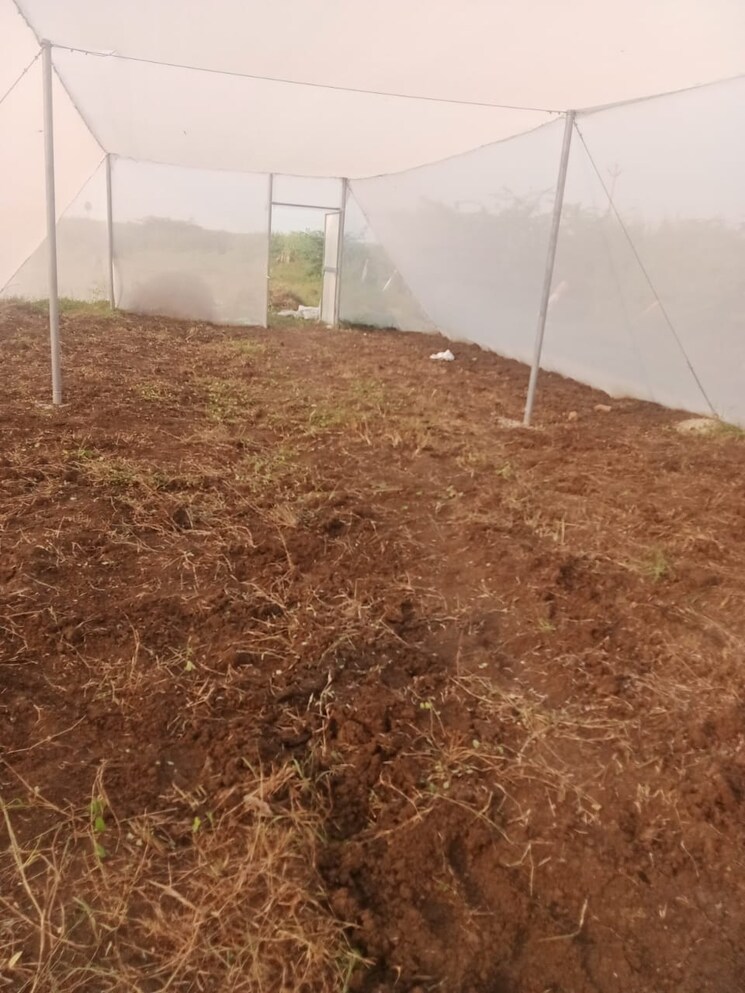 undefined, kanchikacherla  113 Sq.Yd. Plot In Kanchikacherla Vijayawada 8762143