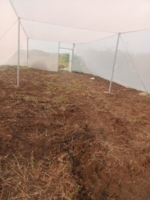 Plot Area in  Plot at Kanchikacherla – for Sale