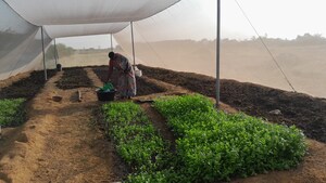  Plot – Garden View at Kanchikacherla - for Sale