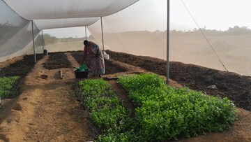  Plot – Garden View at Kanchikacherla - for Sale