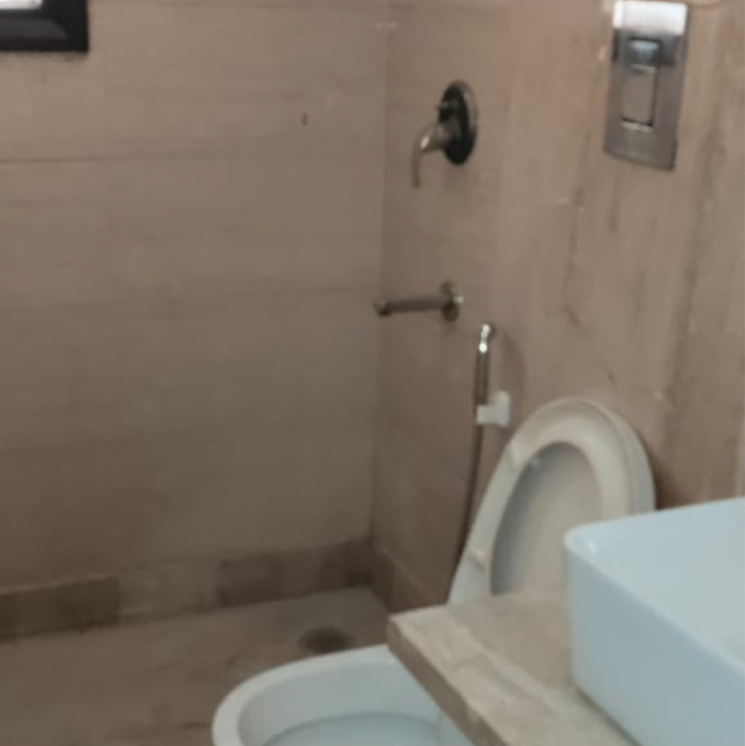 Bathroom, shivalik colony 3 Bedroom 1900 Sq.Ft. Builder Floor In Shivalik Colony Delhi 8762129