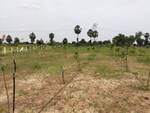 532 Sq.Yd. Land in Yearly 1 Lakh Income Farm