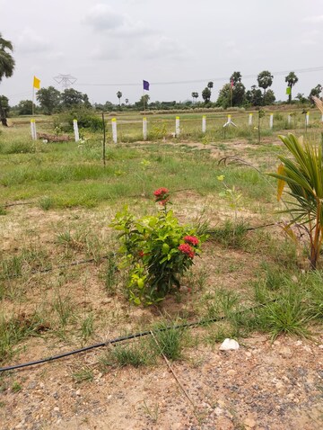 Plot Area in  Land at Mylavaram – for Sale