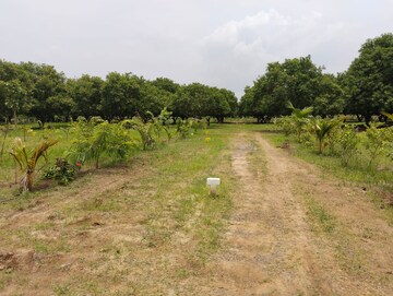 Plot Area in  Land at Mylavaram – for Sale