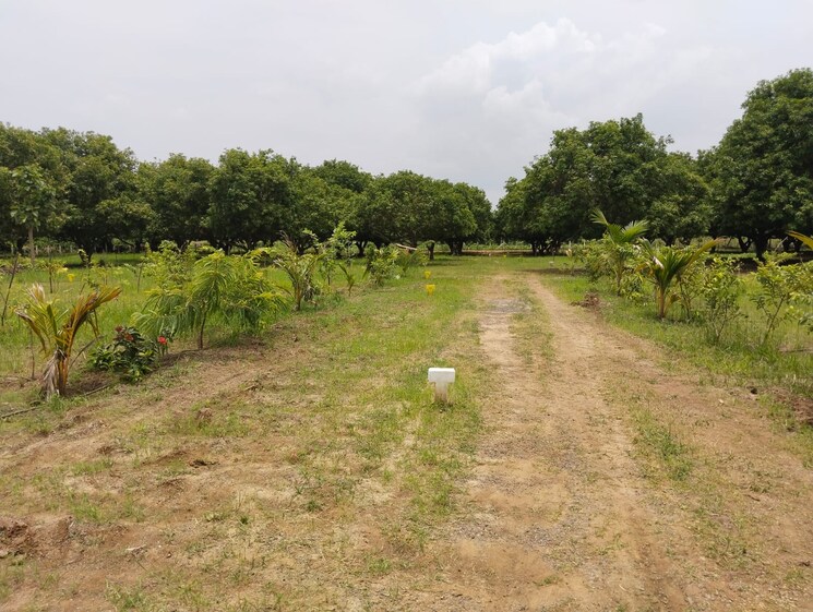 undefined, mylavaram Commercial Land 532 Sq.Yd. In Mylavaram Vijayawada 8762160