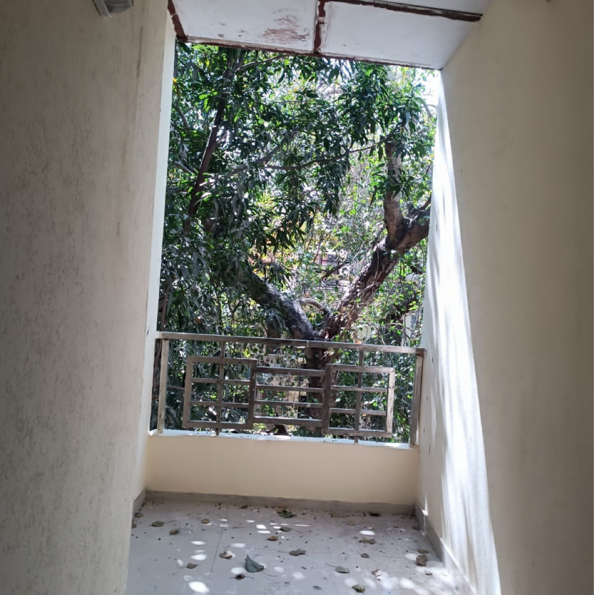 2 BHK + Pooja Room Builder Floor For Rent in Kalkaji 