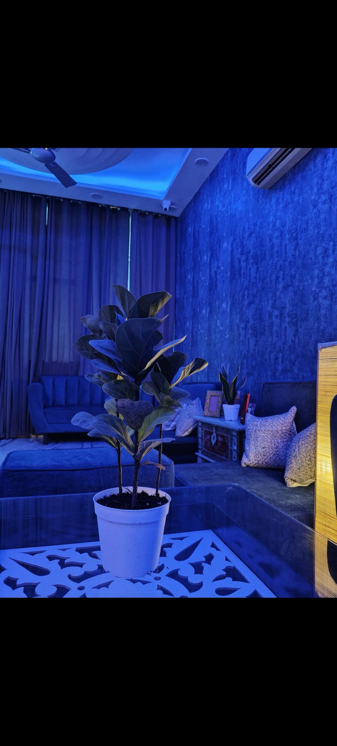 5 BHK + Extra Room Builder Floor For Rent in Greater Kailash II