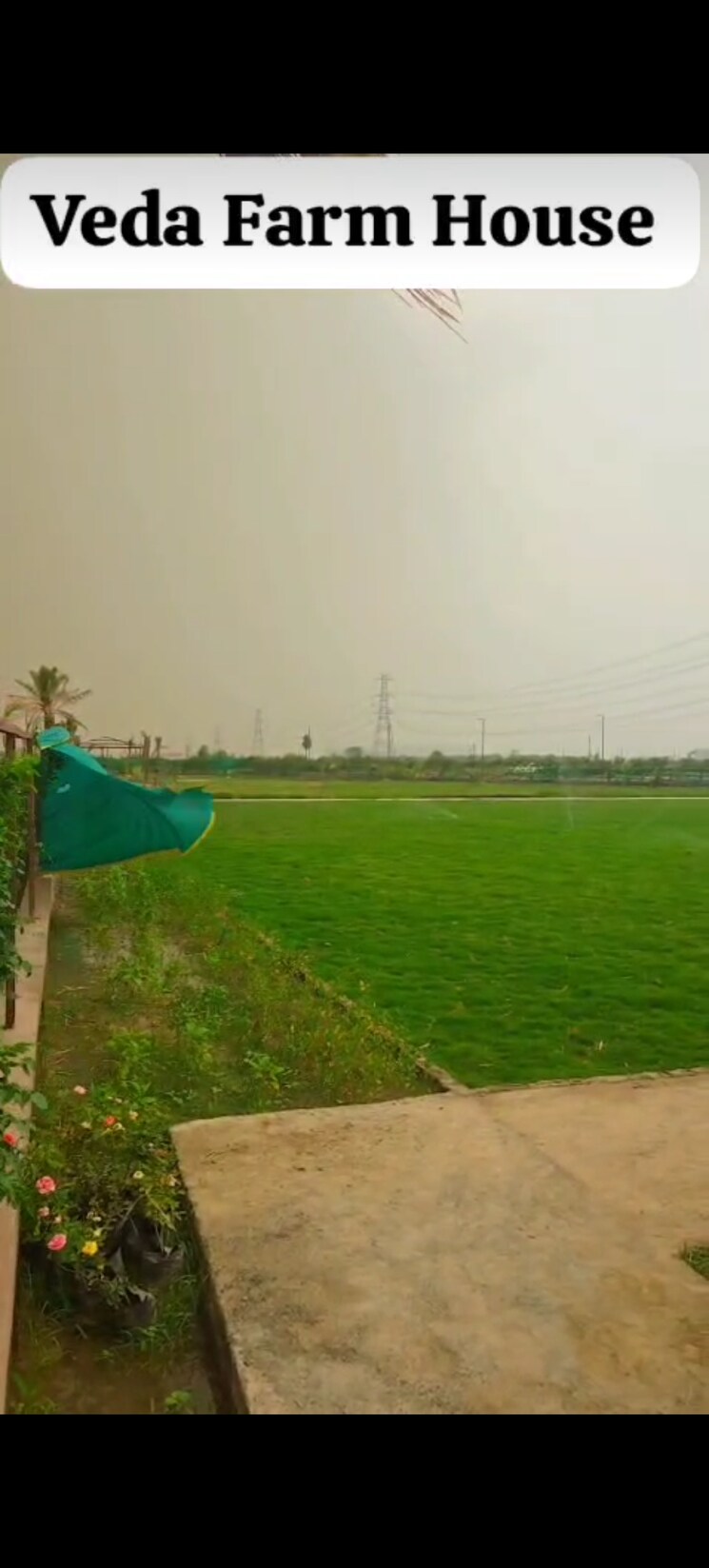 Garden, alpha 1 greater noida  1031 Sq.Yd. Plot In Alpha 1 Greater Noida Greater Noida 8762270