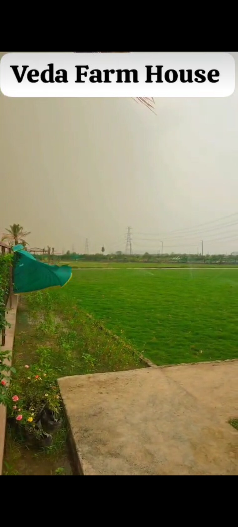Garden, alpha 1 greater noida  1031 Sq.Yd. Plot In Alpha 1 Greater Noida Greater Noida 8762270