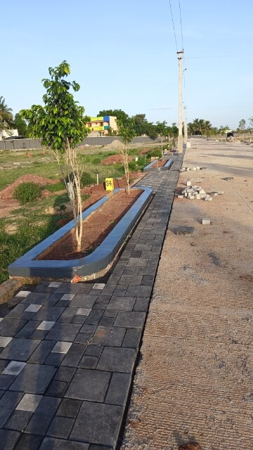  Plot – Exterior View View at Trichy Madurai Road - for Sale