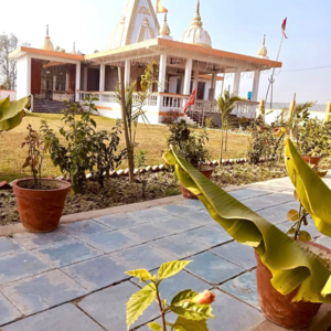  Plot – Garden View at DLF Garden City, Purseni - for Sale