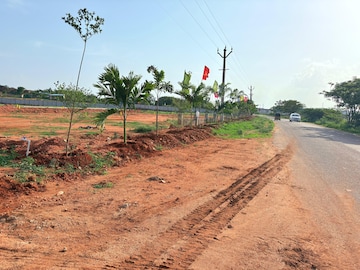 Plot Area in  Plot at Shadnagar – for Sale