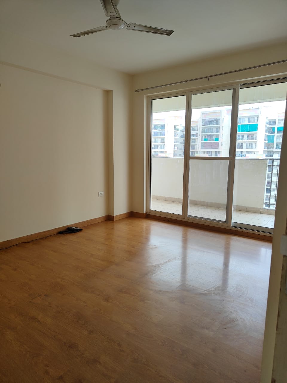 1 BHK Apartment For Rent in AVL 36 Gurgaon