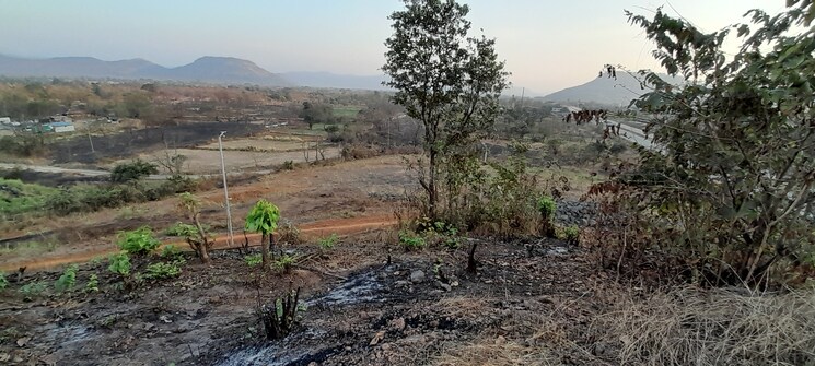 undefined, mangaon Commercial Land 22200 Sq.Mt. In Mangaon Raigad 8762931