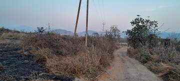Plot Area in  Land at Mangaon – for Sale