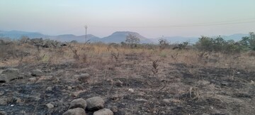 Plot Area in  Land at Mangaon – for Sale