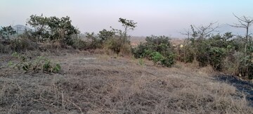 Plot Area in  Land at Mangaon – for Sale