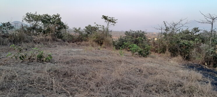 undefined, mangaon Commercial Land 22200 Sq.Mt. In Mangaon Raigad 8762931