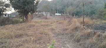 Plot Area in  Land at Mangaon – for Sale