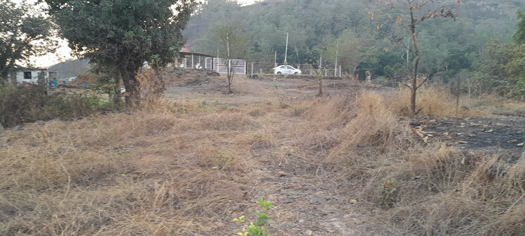 undefined, mangaon Commercial Land 22200 Sq.Mt. In Mangaon Raigad 8762931
