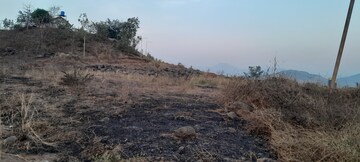 Plot Area in  Land at Mangaon – for Sale