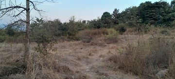 Plot Area in  Land at Mangaon – for Sale