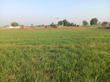  Plot For Sale in Dholka