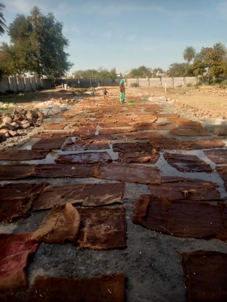 undefined, tejaji nagar  800 Sq.Ft. Plot In Tejaji Nagar Indore 8763196