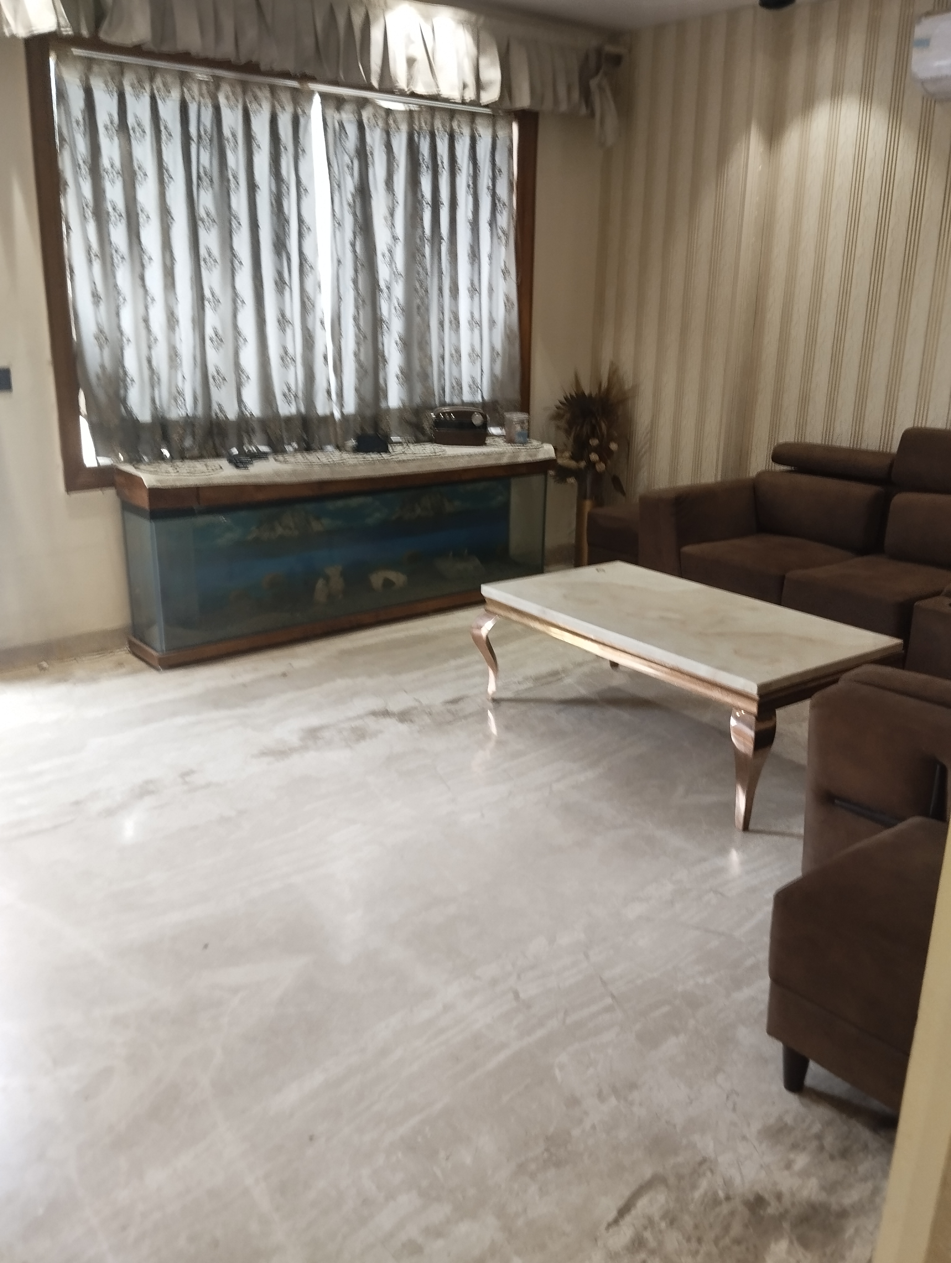 3 BHK + Study Room Builder Floor For Rent in Sani Enclave 