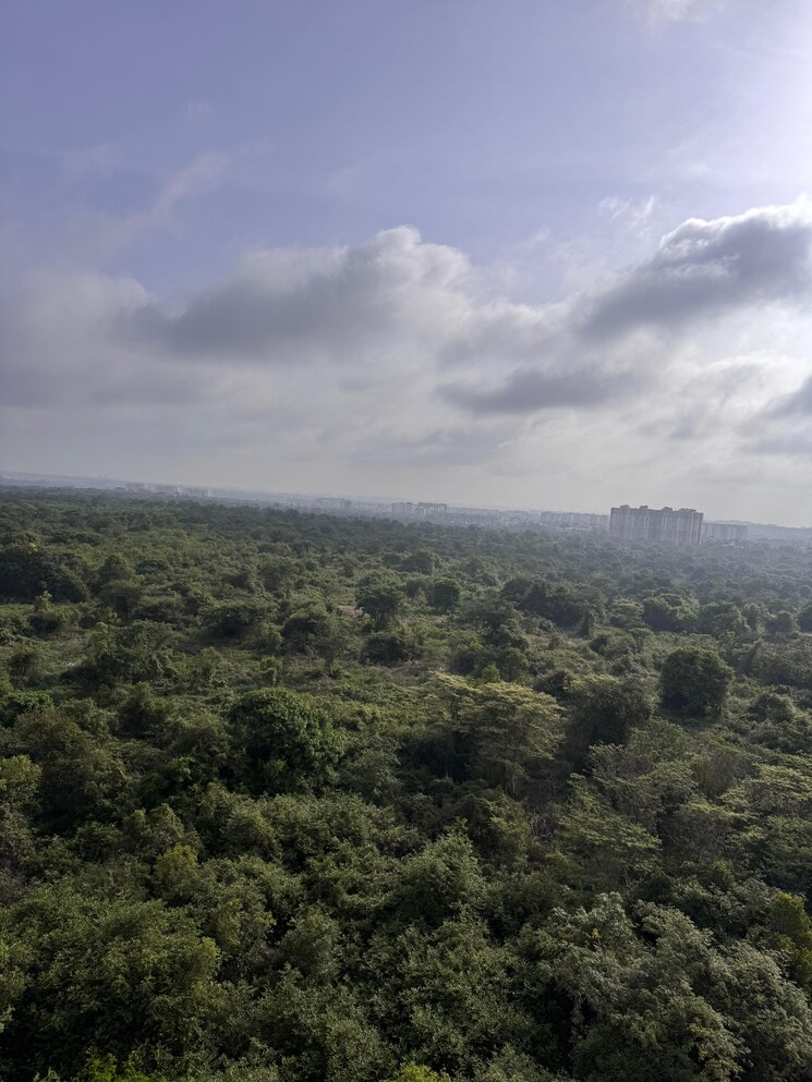 undefined, sobha-daffodil 3 Bedroom 1804 Sq.Ft. Apartment In Hsr Layout Bangalore 8763288