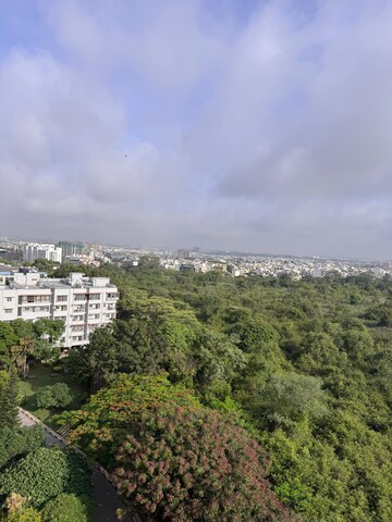 Plot Area in 3 BHK Apartment at Sobha Daffodil, Hsr Layout – for Rent