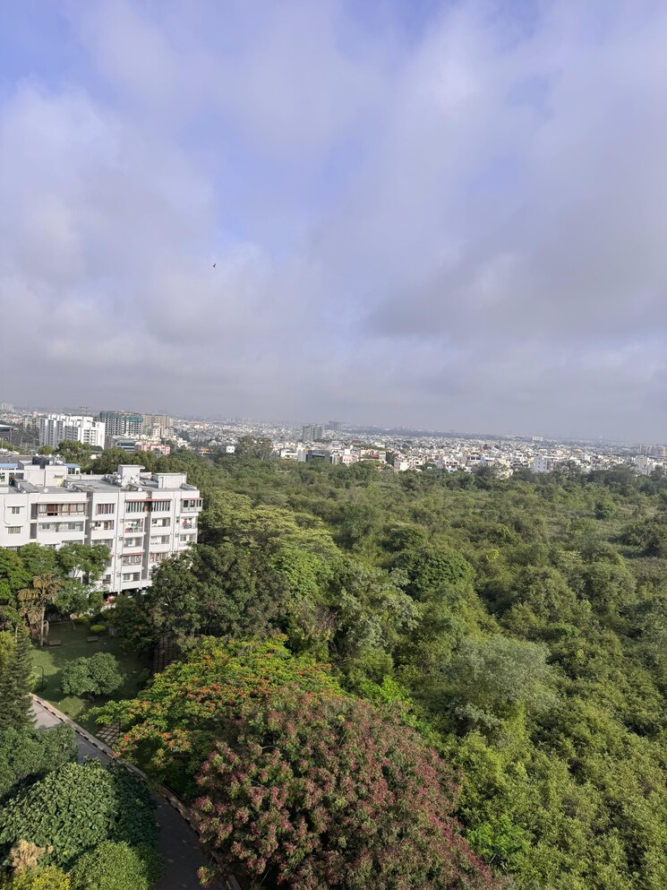 undefined, sobha-daffodil 3 Bedroom 1804 Sq.Ft. Apartment In Hsr Layout Bangalore 8763288