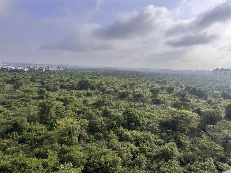 undefined, sobha-daffodil 3 Bedroom 1804 Sq.Ft. Apartment In Hsr Layout Bangalore 8763288