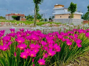  Plot – Exterior View View at Wing Lucknow Greens Gloria, Mohanlalganj - for Sale