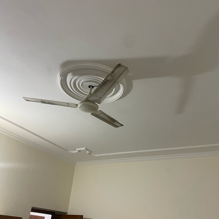 undefined, alpha 1 greater noida Pg For Girls In Alpha 1 Greater Noida 8763798