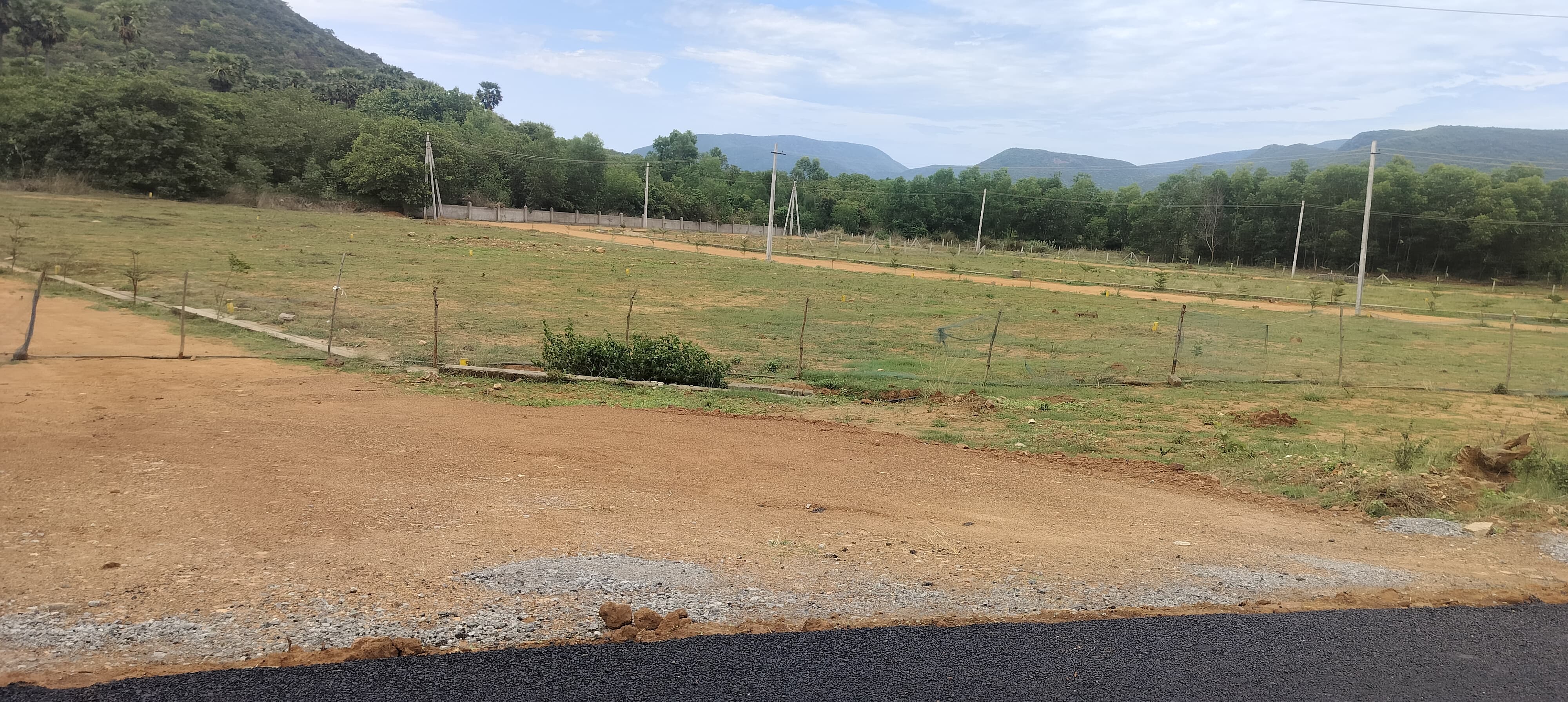 Plot For Sale in Alpine Avenue 