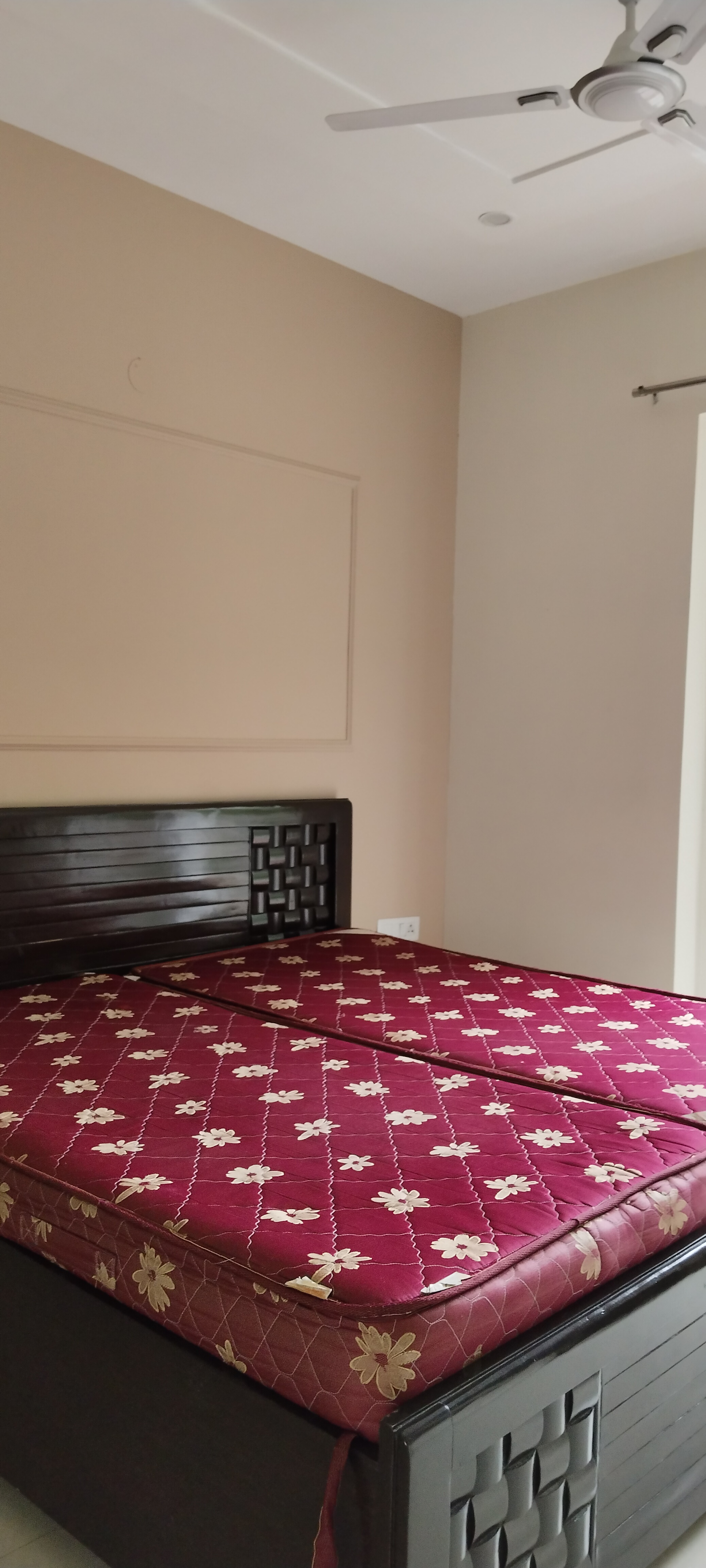 1 BHK + Study Room Builder Floor For Rent in Unitech South City II