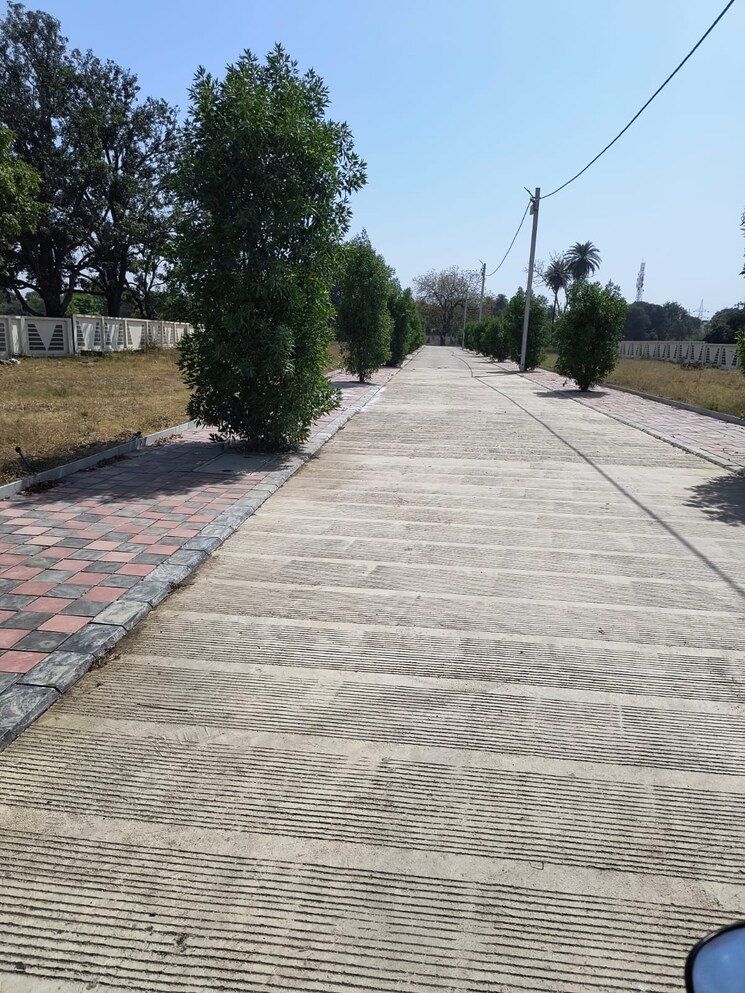 Exterior View, krishi mandi  1000 Sq.Ft. Plot In Krishi Mandi Indore 8763883