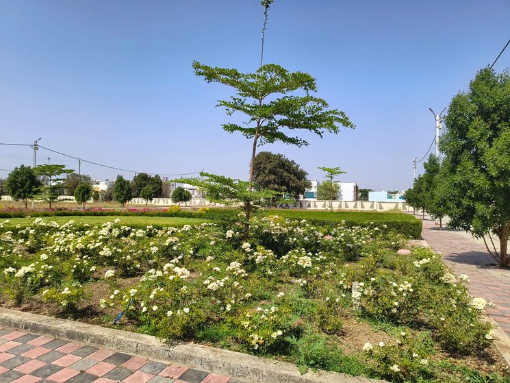 Exterior View, krishi mandi  1000 Sq.Ft. Plot In Krishi Mandi Indore 8763883