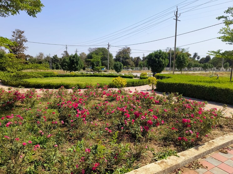 Exterior View, krishi mandi  1000 Sq.Ft. Plot In Krishi Mandi Indore 8763883