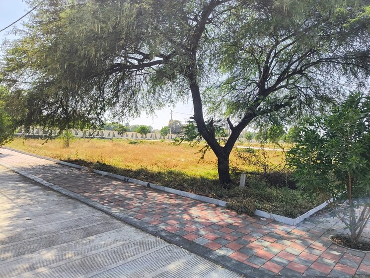 Exterior View, krishi mandi  1000 Sq.Ft. Plot In Krishi Mandi Indore 8763883