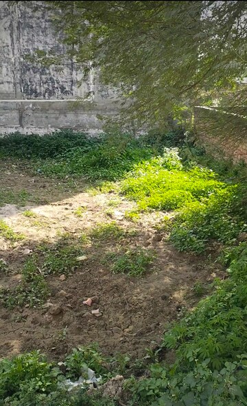  Plot For Sale in Jeevan Vihar
