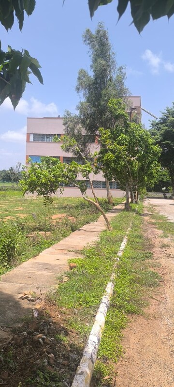 Plot Area in  Plot at Neraluru – for Sale