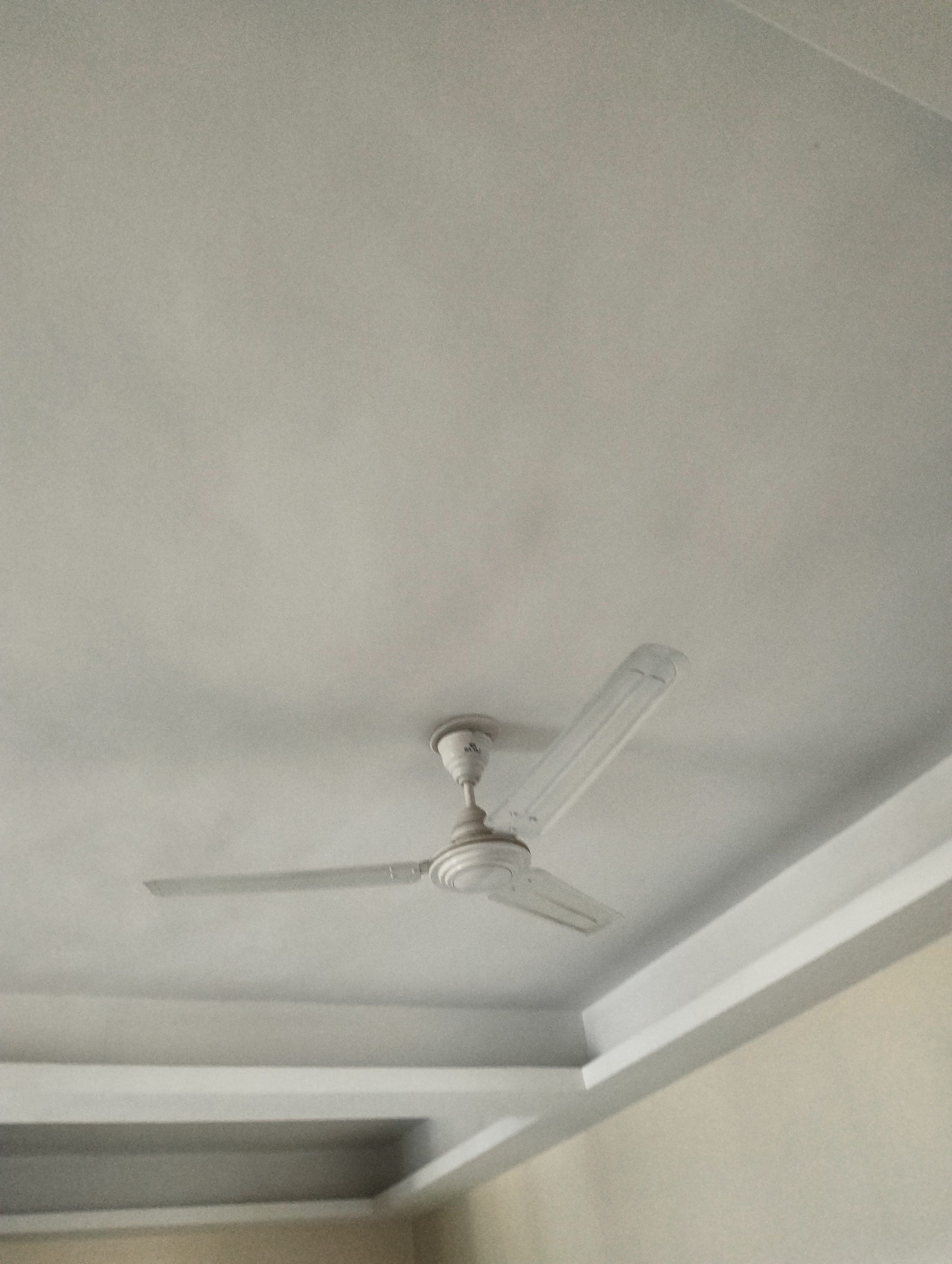 2 BHK Apartment For Rent in Elated Khush Vista