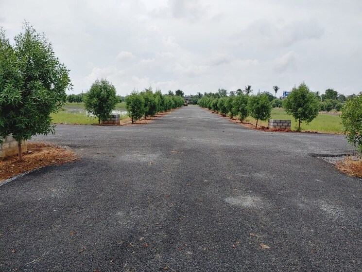 undefined, kankipadu  1350 Sq.Ft. Plot In Kankipadu Vijayawada 8764373